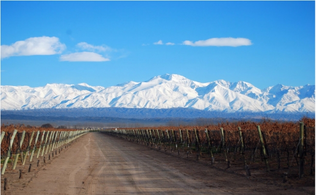 MENDOZA Finde Largo