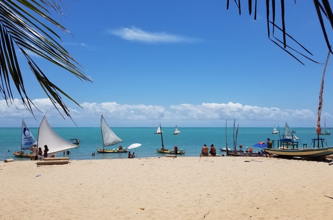 MACEIO Verano