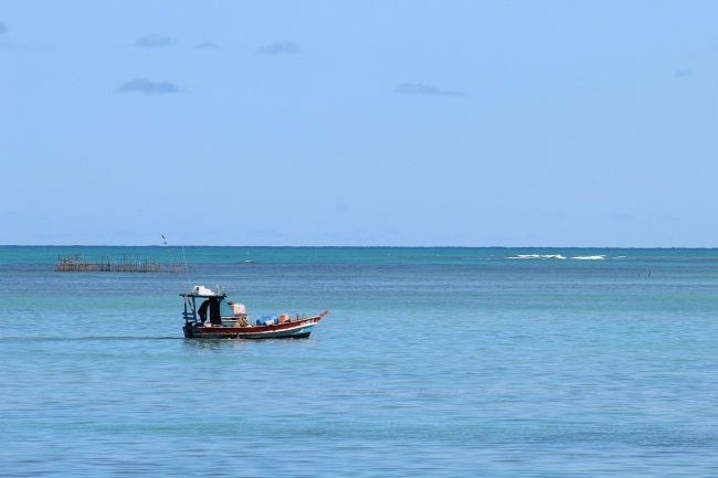 MACEIO Verano