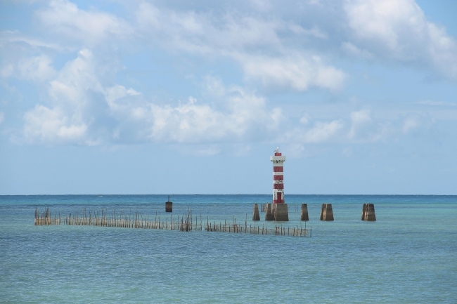 MACEIO Verano