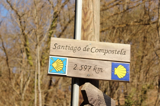 CAMINO de SANTIAGO 