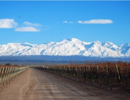 MENDOZA Finde Largo