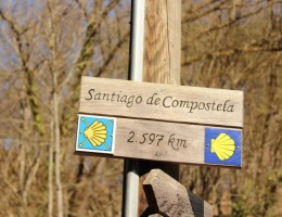 CAMINO de SANTIAGO 